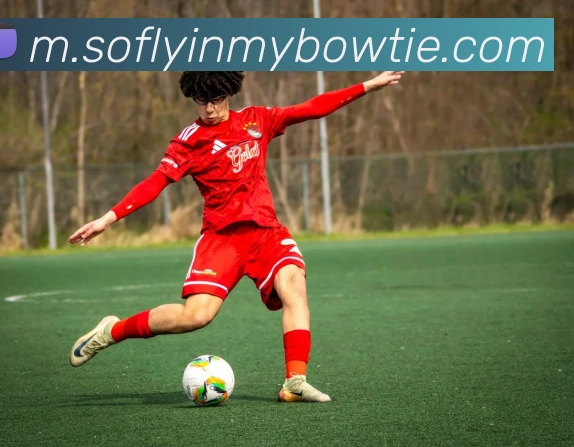 奖项证书